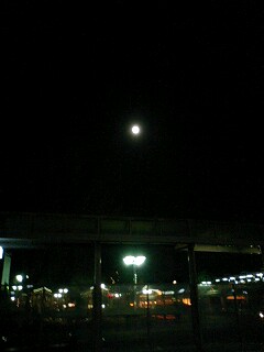 080221_2015~0001.jpg