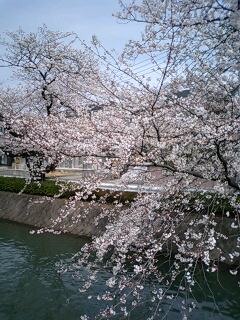 080402_1105~0002.jpg
