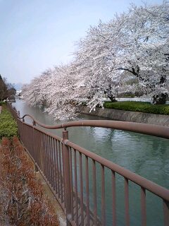 080402_1104~0001.jpg