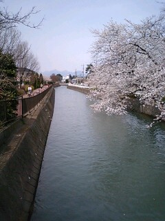 080402_1105~0001.jpg