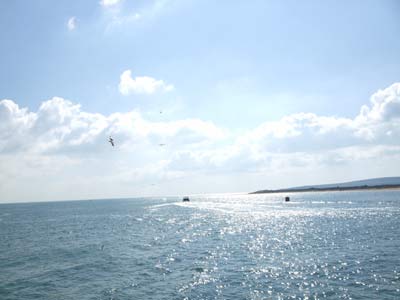 海!大西洋!