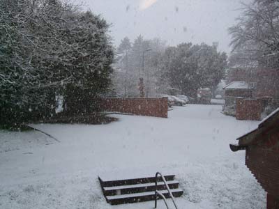 雪1