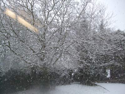 雪2