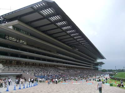 東京競馬場