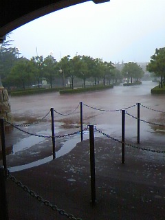 090810_0735~01.jpg