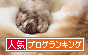 人気ブログランキングへ