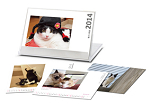 2014猫ネコ英語カレンダー.jpg