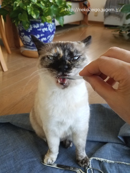 20190415_162609s.jpg