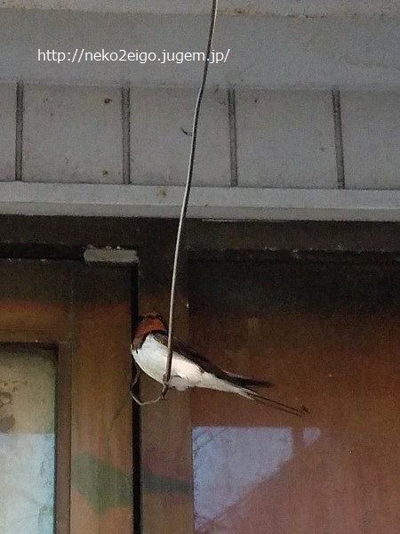 20190510_222218s.jpg