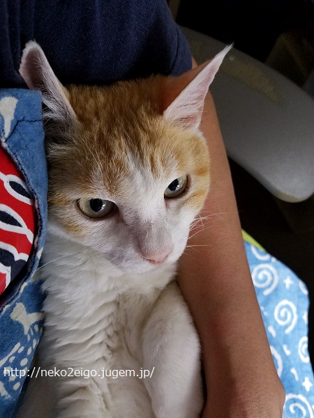 20190613_215534s.jpg