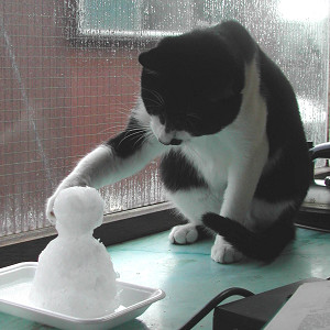 雪3s.jpg
