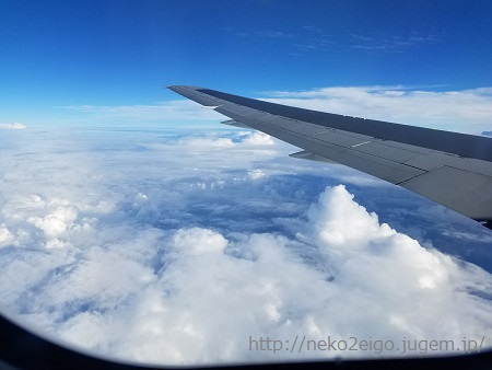 20190814_172435s.jpg