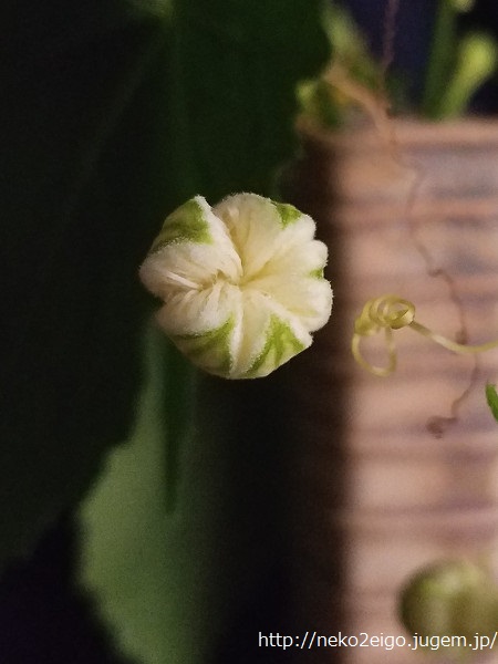 20190902_231508s.jpg