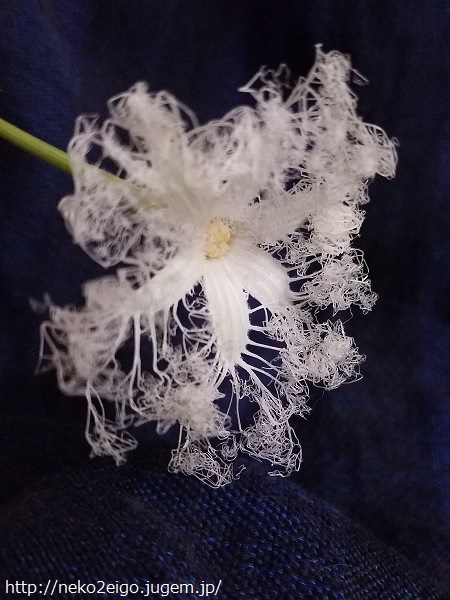 20190902_231930縦s.jpg