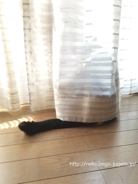 20190829_141249s.jpg