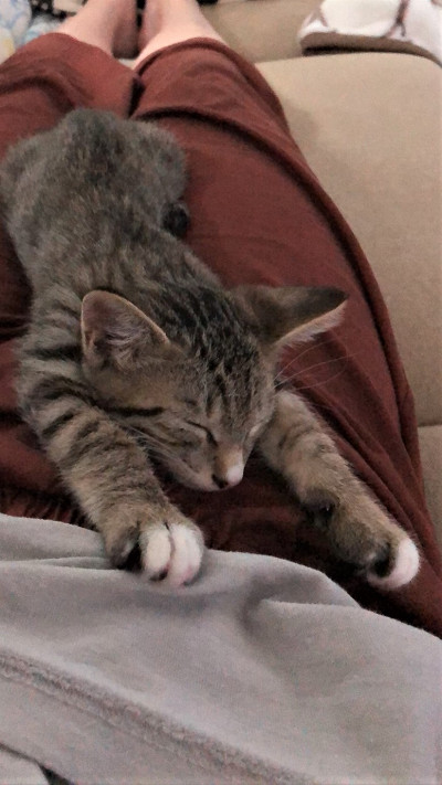 4みかん12251926717600s.jpg
