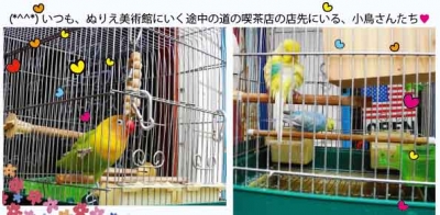 ことり