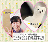 オコジョ