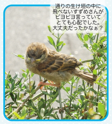 ゆるkameサロン4