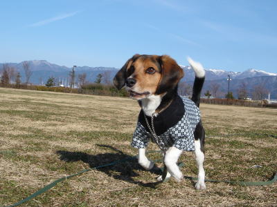 おNEWの洋服♪