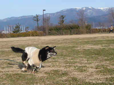 走るわよぉ〜