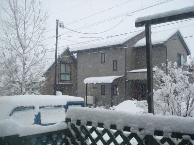 また雪よ〜