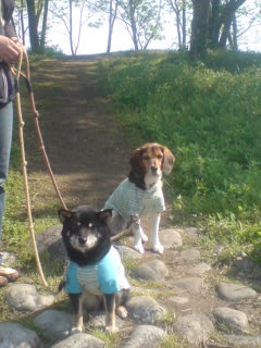 20070504_143190.jpg