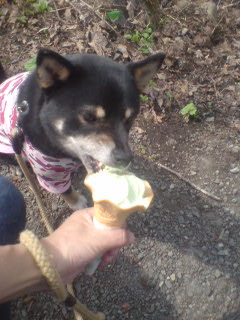 20070505_144268.jpg