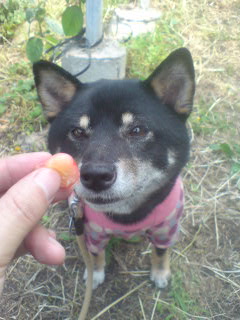 20070602_163203.jpg