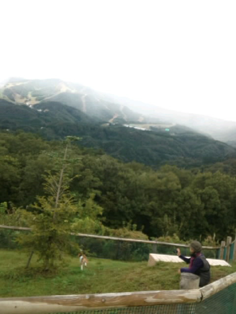 SN3S07390001.jpg