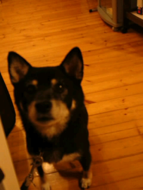 SN3S08280001.jpg
