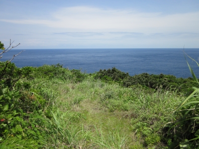 IMG_0027.JPG