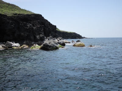 IMG_0033.JPG