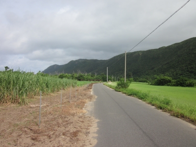 2011_0621_092539-IMG_0751.JPG