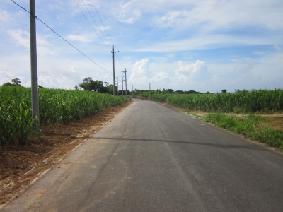 2011_0621_095213-IMG_0757.JPG