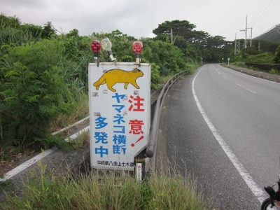 2011_0621_105801-IMG_0773.JPG