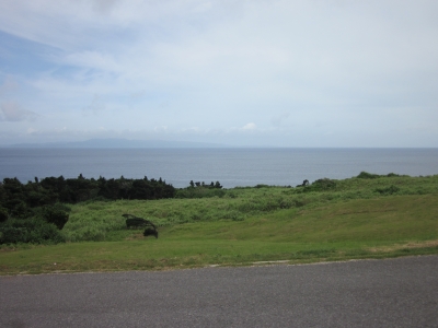 2011_0622_102828-IMG_0837.JPG