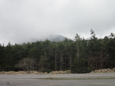 IMG_1288.JPG