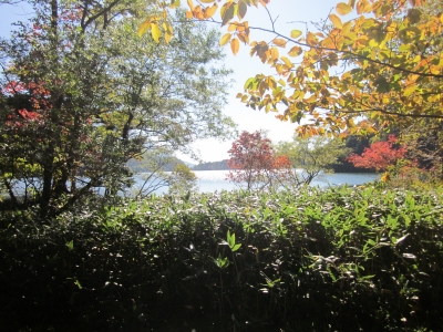 IMG_1705.JPG