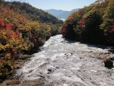 IMG_1717.JPG