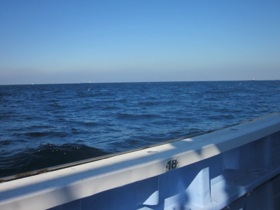 IMG_1763.JPG