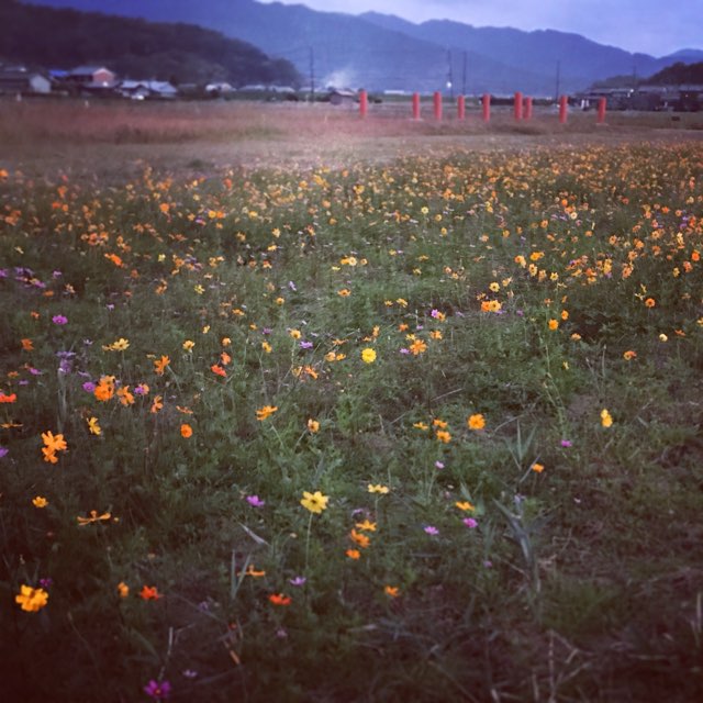 20181108_2756506.jpg