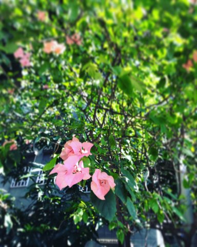 20190517_2864671.jpg