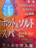 ホット&ソルトスパ
