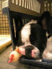 誰にも・・・zzz