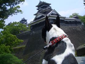 熊本城