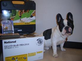ホントに出来るんですかぁ〜?