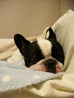 ノンレム睡眠