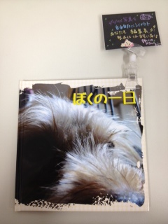 犬