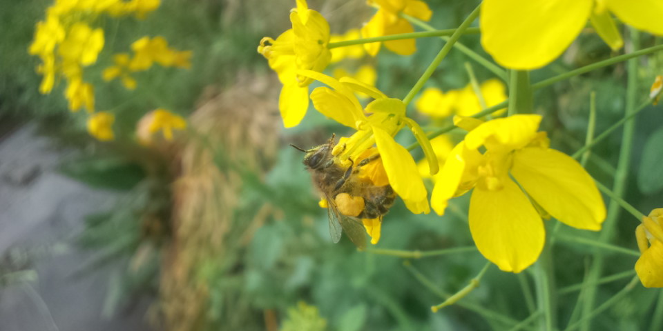 110410_122219.jpg